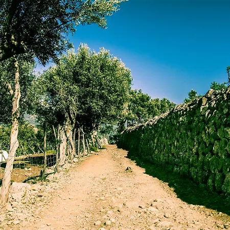 Hostel Hostel Soller Soller